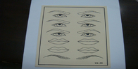 A folha permanente da pele da prática da composição do lápis de olho dá forma à almofada 20.5cm x 15cm x 0.15cm