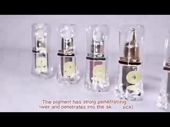 Pigmento permanente da tatuagem da composição